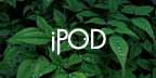 iPOD